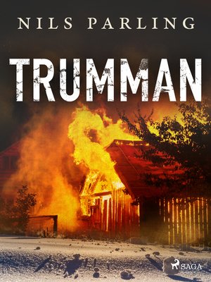 cover image of Trumman